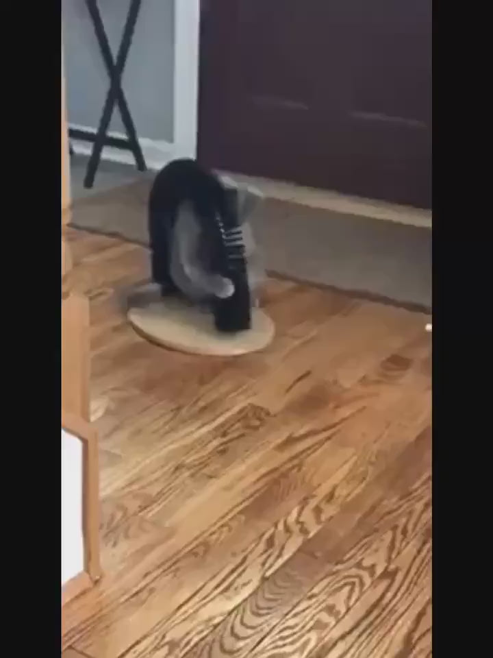 The "Purr-fect" Cat Arch Self-Groomer & Massager | 2-in-1 Scratching Post & Deshedding Brush | Durable Cat Furniture for Kittens & Seniors