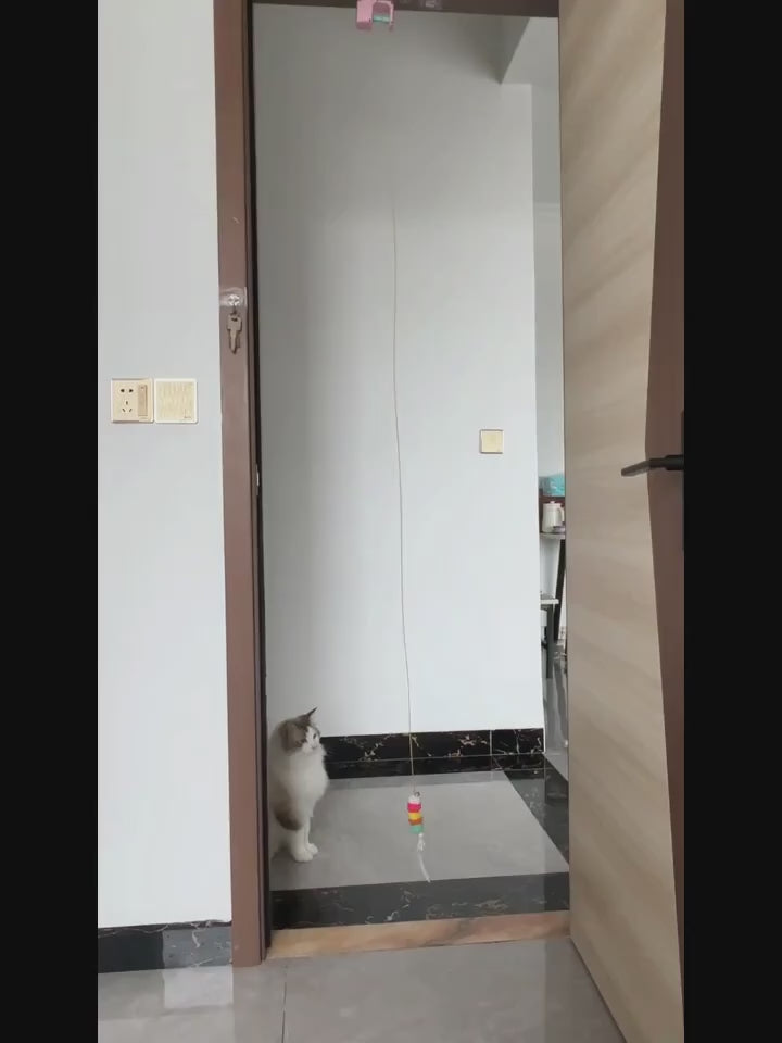 USB Rechargeable Automatic Swing Door Cat Toy | Interactive Hanging Feather & Ball Teaser | Smart Motion Toy for Indoor Cats & Kittens