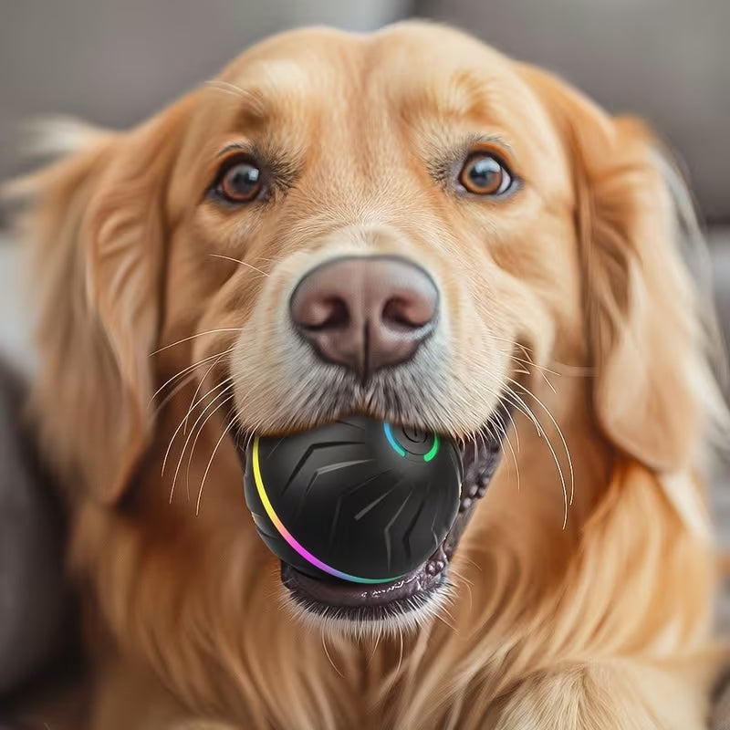 Premium Smart Interactive Dog Ball | Automatic Rolling & Jumping Toy with LED Lights | USB Rechargeable Boredom Buster for All Surfaces